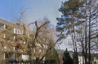 Wohnung mieten in 4060 Berg, Ruhige 2-Zimmer-Wohnung Nähe Freinberg / Froschberg