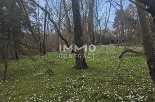 Grundstück zu kaufen in 3021 Pressbaum, Ihr Traumgrundstück im Grünen! Gestalten Sie Ihr neues Zuhause zum absoluten Spitzenpreis!