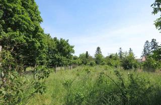 Grundstück zu kaufen in 2294 Marchegg, Baugrundstück - 2 Parzellen !