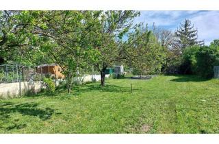  in Feldstraße, 7000 Eisenstadt, Kleingarten im Zentrum von Eisenstadt