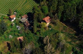 Villen zu kaufen in Kranachberg, 8462 Gamlitz, Außergewöhnliche Liegenschaft im Weinparadies – Ihre Visionen werden Realität!