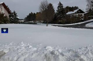 Grundstück zu kaufen in 7453 Steinberg, Steinberg Bez. Oberpullendorf Sehr schönes Eckgrundstück südseitig gelegen-7453