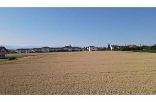 Wohnung kaufen in Kornweg, 4531 Kematen an der Krems, Dreifamilienhaus!!!!! Erstbezug mit Südbalkon, Carport und flexiblem Raumkonzept!