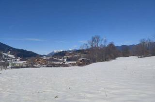 Grundstück zu kaufen in 9613 Feistritz an der Gail, Großzügiges Baugrundstück in naturnaher Lage von Hohenthurn.