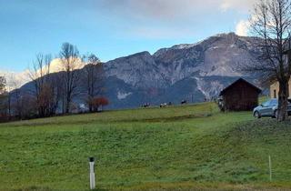 Grundstück zu kaufen in 9613 Feistritz an der Gail, Großzügiges Baugrundstück in naturnaher Lage von Hohenthurn.