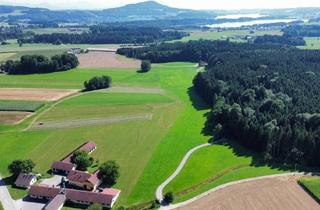 Haus kaufen in Im Seengebiet: Mattsee, Grabensee, Obertrumersee, 5163 Palting, neuer Kaufpreis: Gepflegtes Zuhause nahe dem Mattsee mit großem Garten, Dachterrasse und Doppel-Carport!