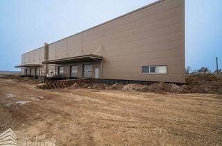 Lager kaufen in 2482 Münchendorf, Lagerhalle im Industriegebiet Münchendorf - flexibel nutzbar