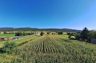 Maisonette kaufen in 2540 Bad Vöslau, Aufleben in den Weinbergen | Exklusive Erstbezugswohnungen in der Thermenregion