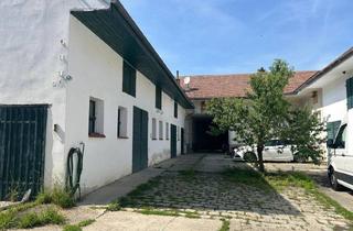 Haus kaufen in Ortsstraße 22, 3464 Zaina, Großer Hof mit viel Gestaltungsspielraum