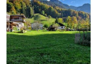 Grundstück zu kaufen in 6845 Hohenems, Sonniges Grundstück inmitten der Natur!