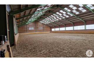 Gewerbeimmobilie kaufen in 3240 Mank, Bauernhof, Reitanlage Wohnungen und Koppeln, 5,5 ha Gesamtfläche