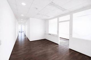 Büro zu mieten in Ludwig-Bieringer-Platz, 5071 Wals, Repräsentatives Büro mit Aussicht - 128 m², modern & kurzfristig beziehbar