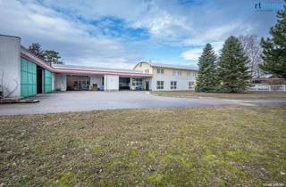 Büro zu mieten in 2000 Stockerau, Vielfältig nutzbare Gewerbefläche in Stockerau