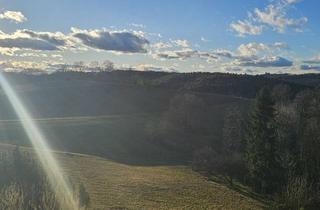 Gewerbeimmobilie kaufen in Fürstenfeld, 8282 Loipersdorf bei Fürstenfeld, Schnäpchen!!! Teilweise sanierungsbedürftiges Hotel in toller ruhiger idyllischen Lage