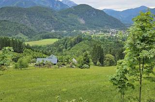 Immobilie kaufen in Gesäuse, 8933 Sankt Gallen, Uriger Bergbauernhof in einzigartigen absoltuten Alleinlage!