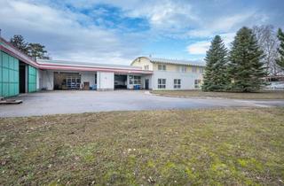 Lager mieten in 2000 Stockerau, Vielfältig nutzbare Gewerbefläche in Stockerau