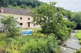 Haus kaufen in 3543 Krumau am Kamp, Kampfluss Residenz - 2 Häuser