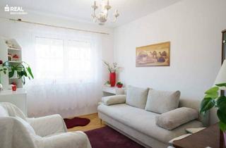 Haus kaufen in 2812 Hollenthon, Bungalow mit Panoramablick