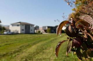 Grundstück zu kaufen in Im Acker, 6972 Fußach, 1.845 m² großes Grundstück in Fussach!