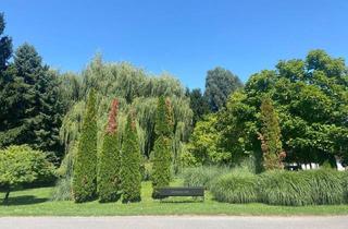 Haus kaufen in 7202 Bad Sauerbrunn, Entzückendes Ferienhaus am Römersee