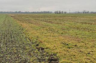 Grundstück zu kaufen in Ez 838 Grundbuch 05207, 2325 Himberg, Grundstück/Ackerland zu erwerben – 2325 Himberg bei Wien!