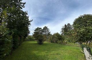 Grundstück zu kaufen in Dechant-Zeiner-Gasse, 2380 Perchtoldsdorf, Sonnbergviertel - Baugrund in begehrter Perchtoldsdorfer Lage!