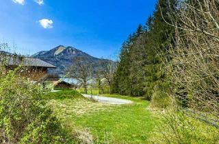 Grundstück zu kaufen in 5360 Aschau, Wolfgangsee: Wo Wald, See & Exklusivität einander begegnen