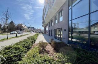 Geschäftslokal mieten in 3100 Sankt Pölten, Geschäftslokal mit großem Außenbereich - Edelrohbau - Q11 Leben am Fluss
