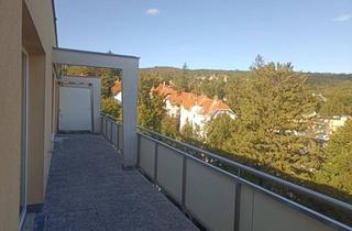 Wohnung kaufen in Marchetsraße 45a, 2500 Baden, Eigentumswohnung direkt neben Doblhoffteich mitten in Baden