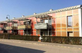 Wohnung mieten in Bachgasse 2/16, 2013 Göllersdorf, Wohnung in Göllersdorf