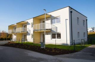 Wohnung mieten in Brandwiese 13, 3321 Ardagger Stift, Moderne 2-Zimmer-Wohnung mit Balkon und guter Anbindung nahe Amstetten