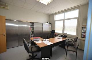 Gewerbeimmobilie kaufen in 7311 Neckenmarkt, Betriebsareal Büro, Halle, Lagerplatz