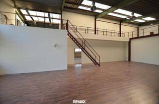 Büro zu mieten in 2325 Himberg, Halle, Schauraum, Tanzsaal, Autosalon...