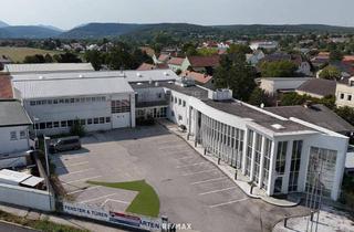 Büro zu mieten in 2751 Wiener Neustadt, FLEXIBEL nutzbare Hallenflächen, von 53 - 328 m² für IHR GEWERBE