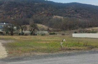 Grundstück zu kaufen in 2405 Hundsheim, 2405 Hundsheim - schönes Baugrundstück mit tollem Ausblick