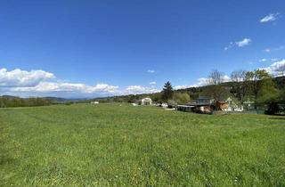 Grundstück zu kaufen in 9121 Dullach II, Traumhaftes Grundstück in idyllischer Lage - Direkt an der Drau, nahe dem Klopeiner See!