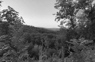 Grundstück zu kaufen in Mittlere Straße, 1140 Wien, Baugrundstück mit traumhaftem Blick für Ihr Einfamilienhaus - Steile Hanglage