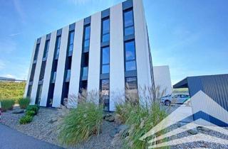 Büro zu mieten in Gewerbeallee 13, 4221 Steyregg, Ihr High-End Bürostandort direkt an der B3 - Gewerbepark Steyregg! 170m² bis 350 m²!