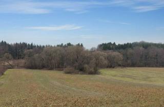Gewerbeimmobilie kaufen in 7501 Unterwart, 25 Wald- und Ackergrundstücke im Burgenland – einzeln oder gesamt erwerbbar