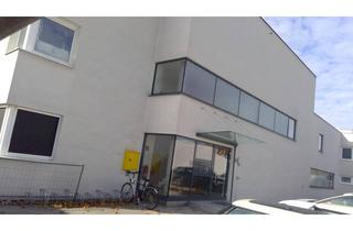 Wohnung mieten in Am Steinfeld 2/2/3, 3251 Purgstall, Purgstall | Geförderte Miete mit Kaufoption | Top 2/3 | 1. OG mit Balkon