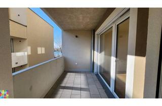 Wohnung mieten in Ziegelhofstraße 72, 1220 Wien, GEGENÜBER HIRSCHSTETTNER BADETEICH!