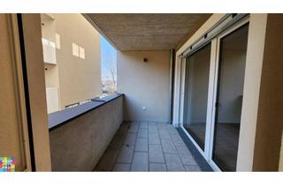 Wohnung mieten in Ziegelhofstraße 72, 1220 Wien, GEGENÜBER HIRSCHSTETTNER BADETEICH!