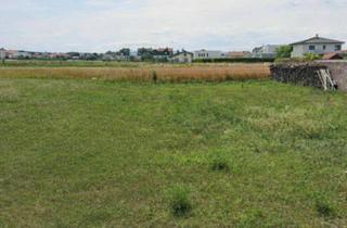 Grundstück zu kaufen in 7061 Trausdorf an der Wulka, "Baugrund, Nähe Eisenstadt!"