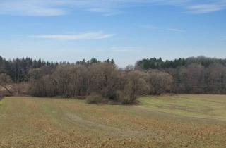 Grundstück zu kaufen in 7501 Unterwart, 25 Wald- und Ackergrundstücke im Burgenland - einzeln oder gesamt erwerbbar