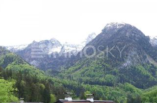 Grundstück zu kaufen in 5440 Scheffau am Tennengebirge, Großes Baugrundstück mit Hanglage - Perfekt für individuellen Hausbau!