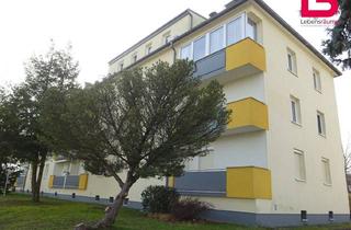 Wohnung mieten in Brucknerstraße 2A /11, 4501 Neuhofen an der Krems, Günstige 1-Zimmer Wohnung in Neuhofen an der Krems (ohne Lift)