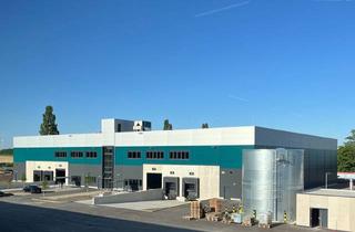Lager mieten in 2460 Bruck an der Leitha, Logistikpark Bruck A4