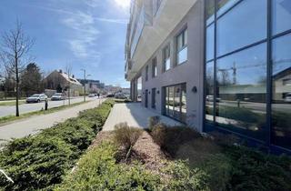 Geschäftslokal mieten in Traisen, Hauptbahnhof St Pölten, 3100 Sankt Pölten, Geschäftslokal mit großem Außenbereich - Edelrohbau - Q11 Leben am Fluss