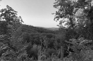 Grundstück zu kaufen in Mittlere Straße, 1140 Wien, Baugrundstück mit traumhaftem Blick für Ihr Einfamilienhaus - Steile Hanglage