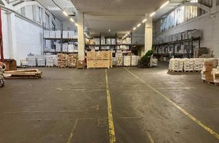Büro zu mieten in 2514 Traiskirchen, Lagerhallen ab 500 m² bis XXL.